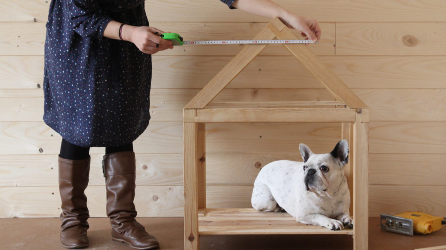 Free plans: Build a stylish dog house