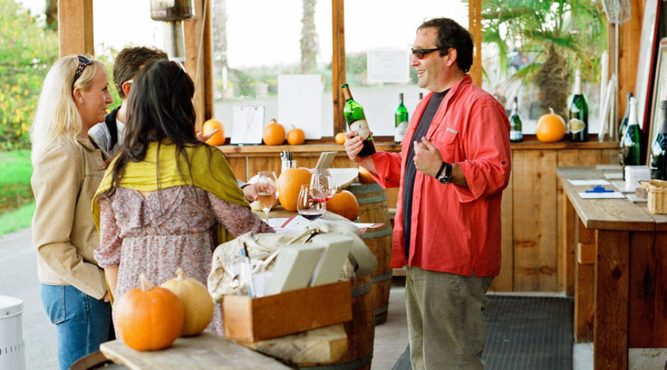 Iron Horse Vineyards