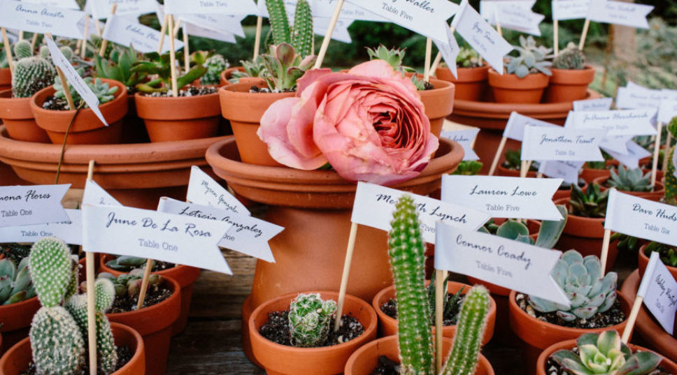 How to Incorporate Potted Plants Into Your Wedding (and Home After!)