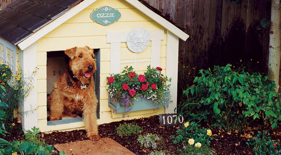 This Is the Trick to Creating a Garden Your Dog Won’t Mess Up