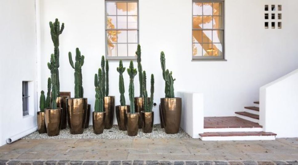 Links We Love: Hit ‘Em With Your Best Shot