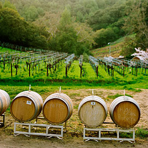 Chouinard Vineyards