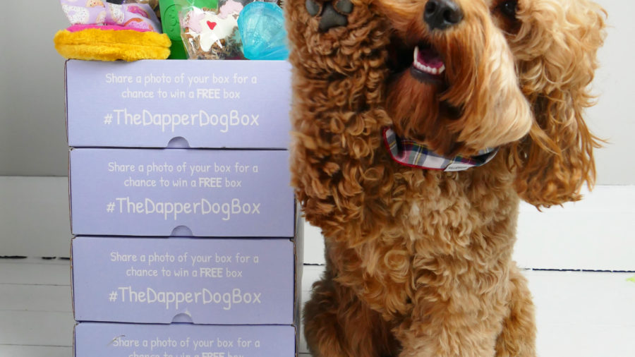 The Dapper Dog Box Subscription