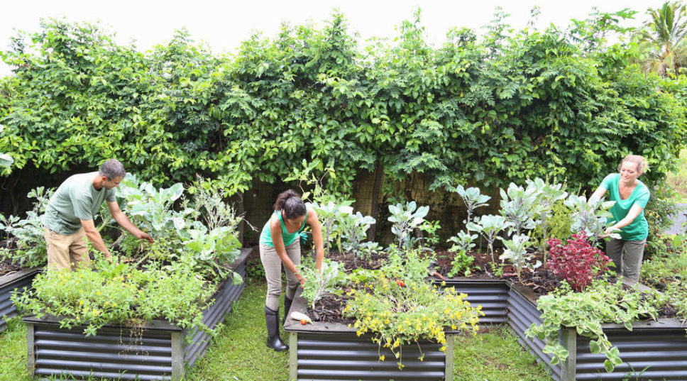 10 New Year’s Resolutions for the Gardener