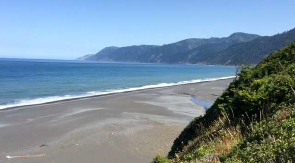 Discover the Lost Coast