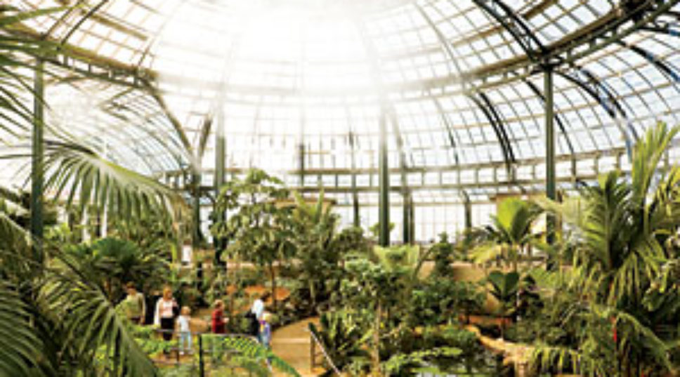 The Huntington Library, Art Collections, and Botanical Gardens