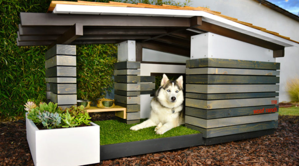 Incredibly Cool Doghouses