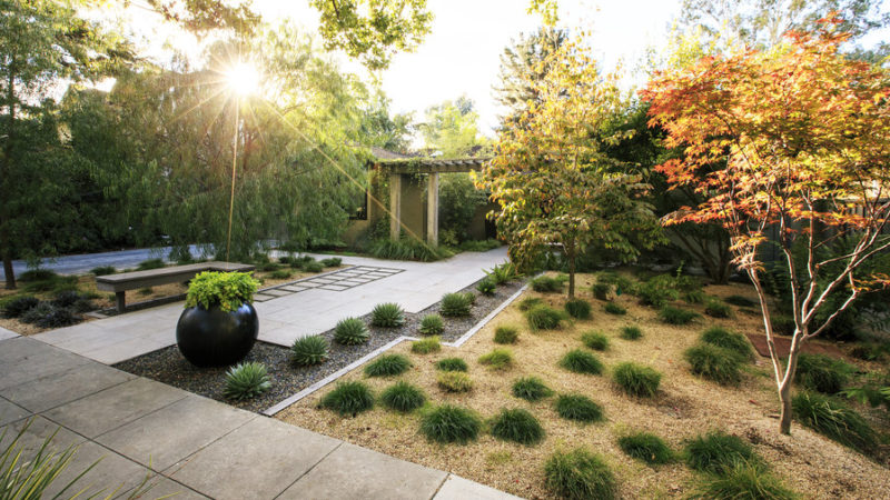 Landscaping without Grass - Sunset Magazine
