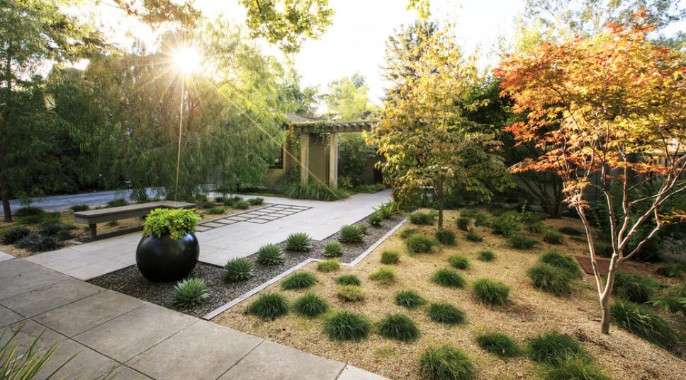 7 Inspiring Lawn-Free Yards
