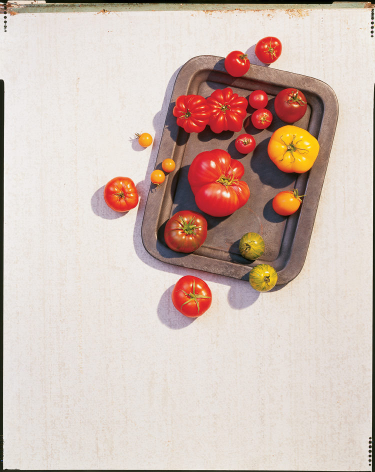 Best Tomato Types for Slicing