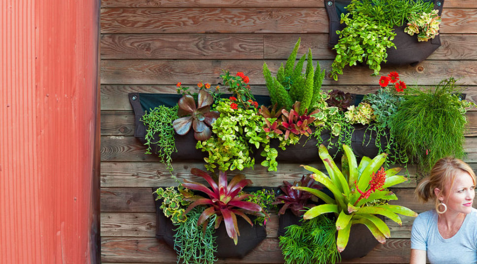 Amazing DIY Garden Projects That Anyone Call Pull Off