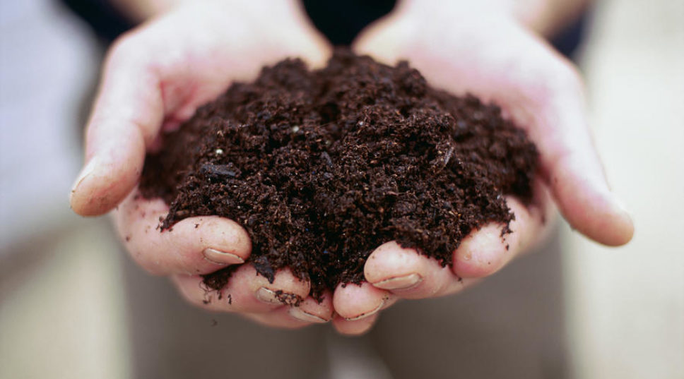 Build the Perfect Compost Bin