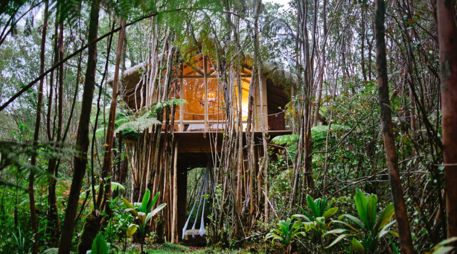 Go off the Grid in Hawaii