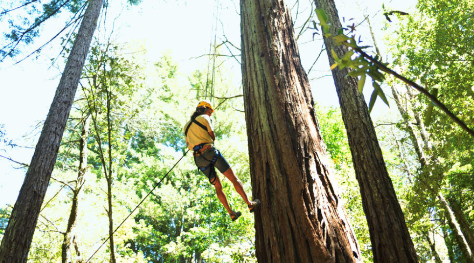 Sonoma Canopy Tours