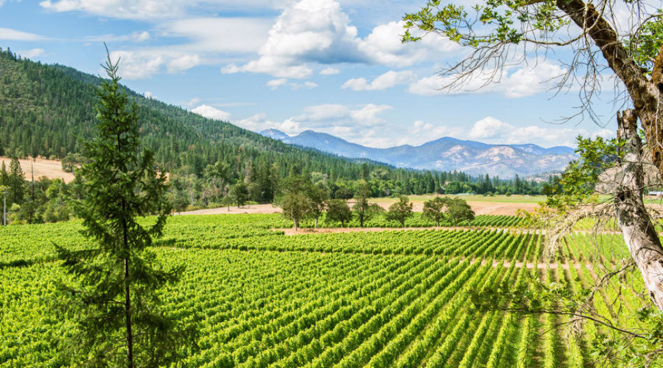 Local’s Guide to Southern Oregon Wine Country