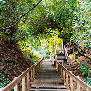 Dipsea Stairs
