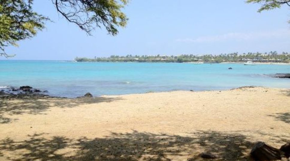 Fantasy Hawaiian hotel with an in-room ukulele