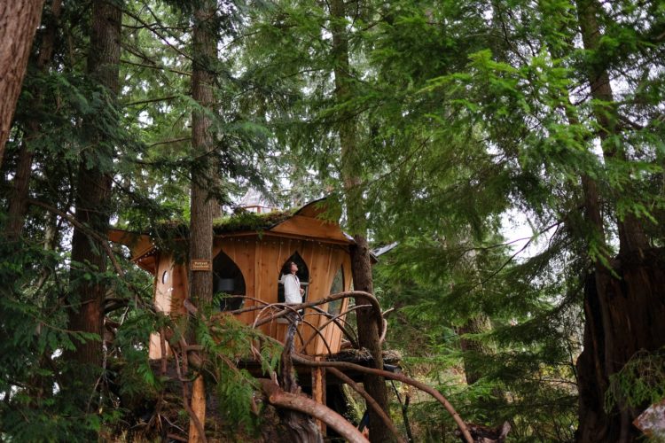 Fairytale Treehouse