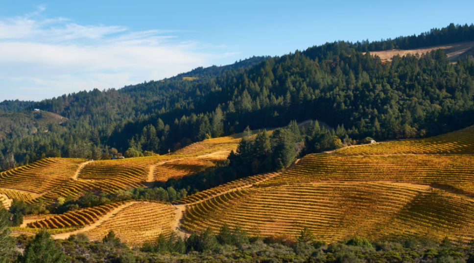 See a Different Side of California's Wine Country with These Unique Tours