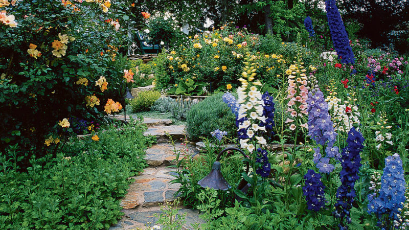 How to Grow a Cottage Garden - Sunset Magazine
