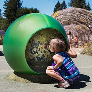Children's Museum Of Sonoma County Reviews
