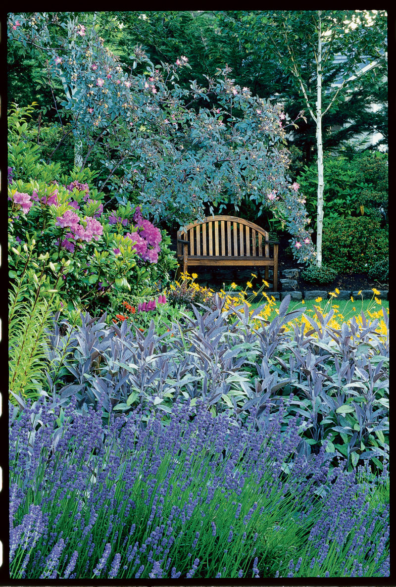 Use our planting and design tips to create your own cottage garden with ...