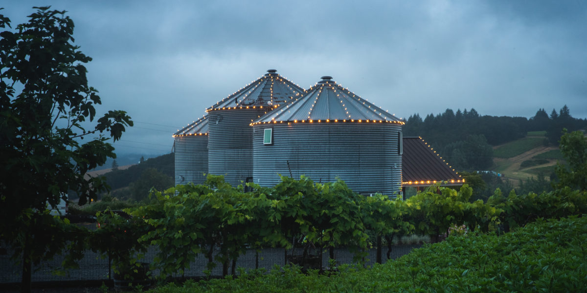 wine farm