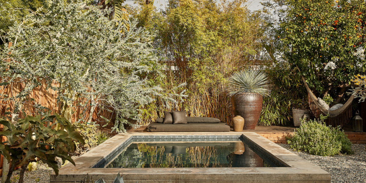 Pool in a desert backyard