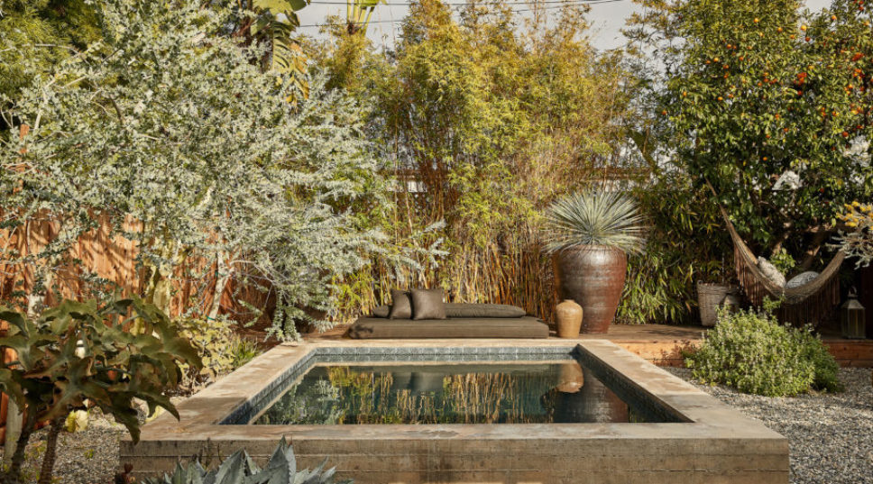 You Don’t Need a Big Pool. This Perfect Little Garden Proves Why.