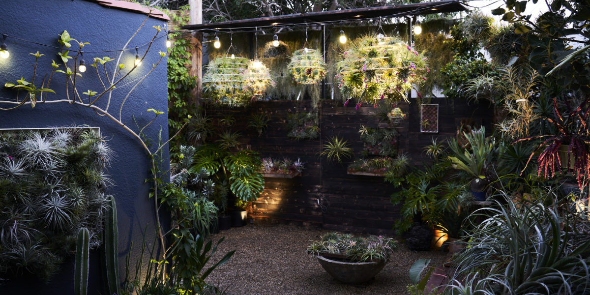 Airplantman's courtyard with lanterns