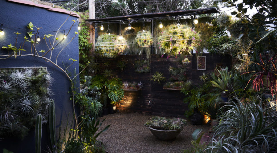 The Best Ways to Light Your Garden at Night