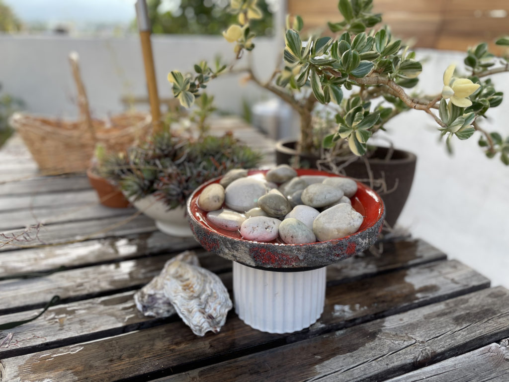 Bee and Butterfly Watering Station