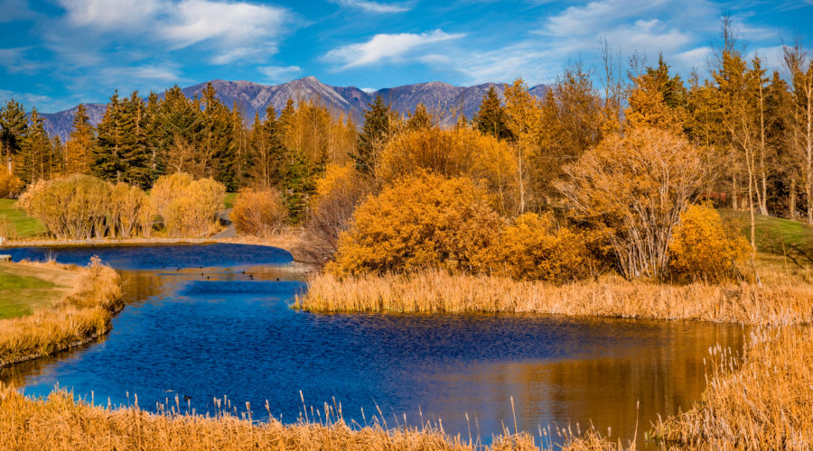 Fall color around Mammoth Lake in California, one of the best places for fall color in the Eastern Sierras