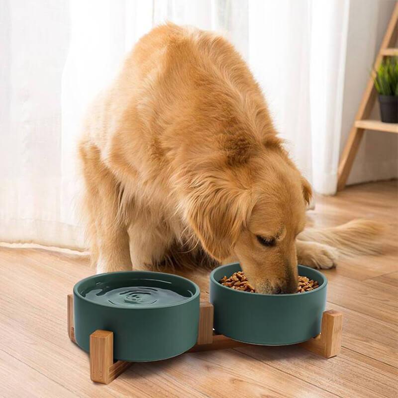 ceramic raised pet food bowls