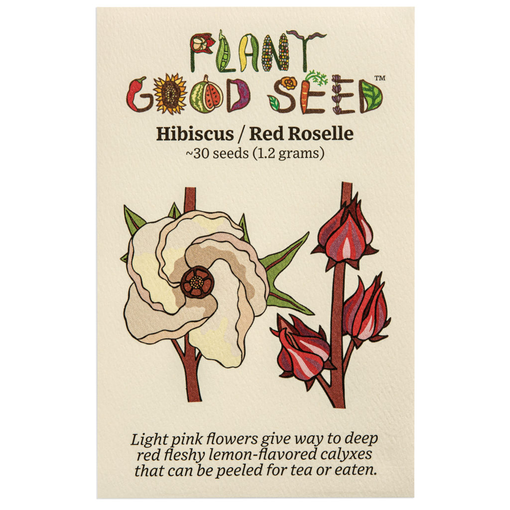 Hibiscus/Red Roselle from Plant Good Seed Company