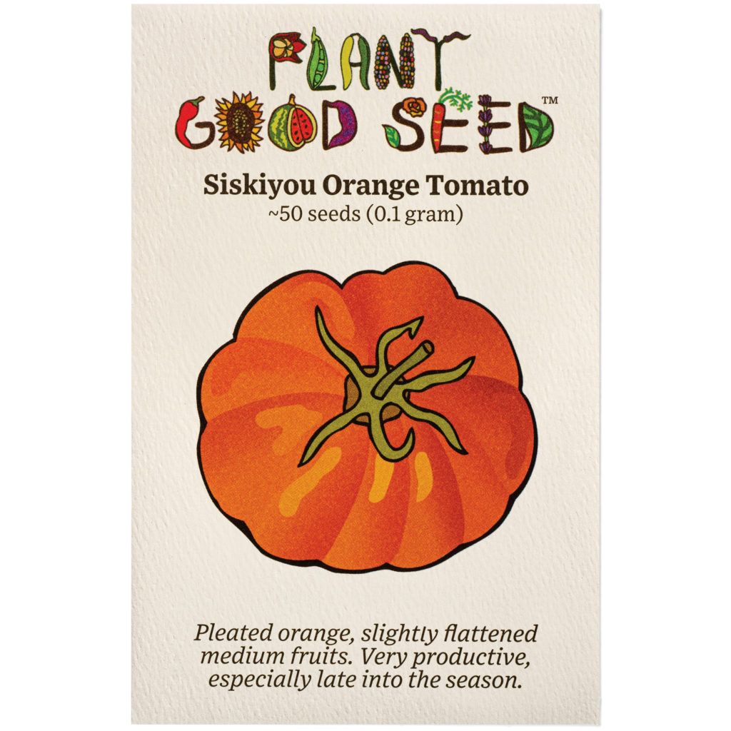 Siskiyou orange tomato from Plant Good Seed Company