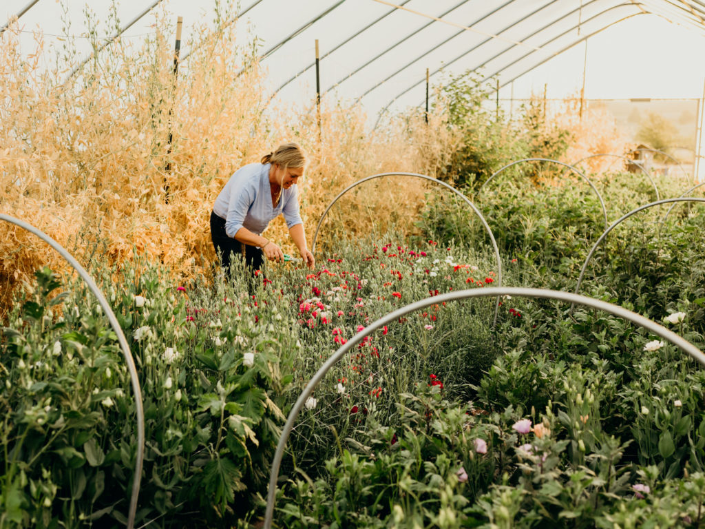 Beth Syphers harvests flowers from her farm