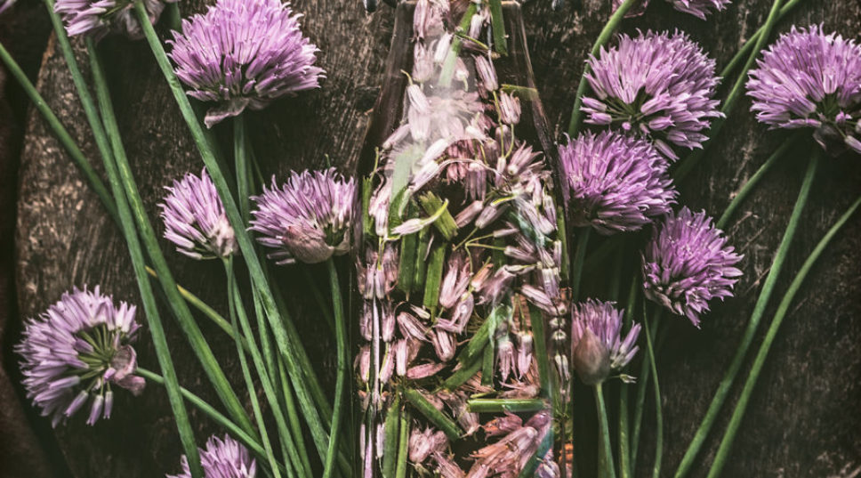 Sublime Products from Everyday Herbs That You Can DIY on a Dime