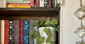 Jars/plant propagator next to bookshelf