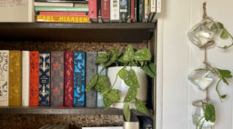 Jars/plant propagator next to bookshelf