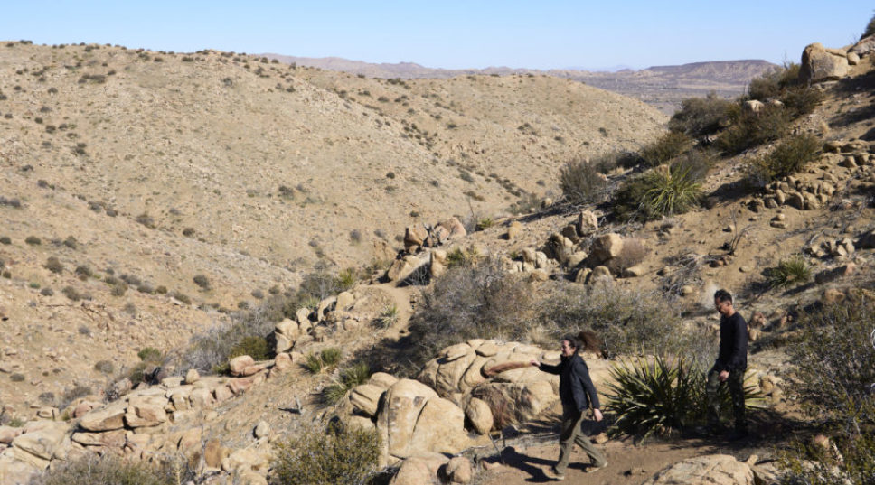 The Desert's Best-Kept Secret Is This Breathtaking Preserve Near Joshua Tree