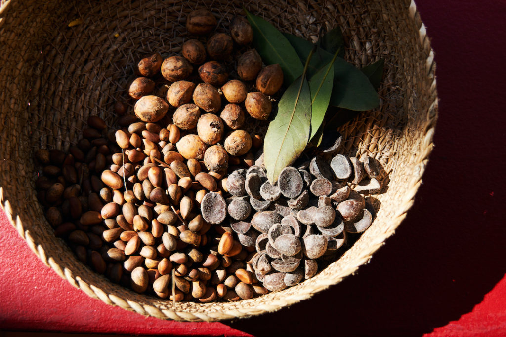 Three of California's important native ingredients: bay laurel leaves, pine nuts, and bay nuts