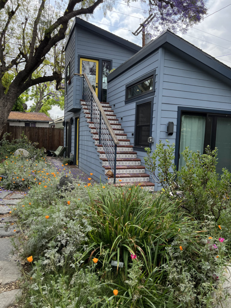 Yard with native plants