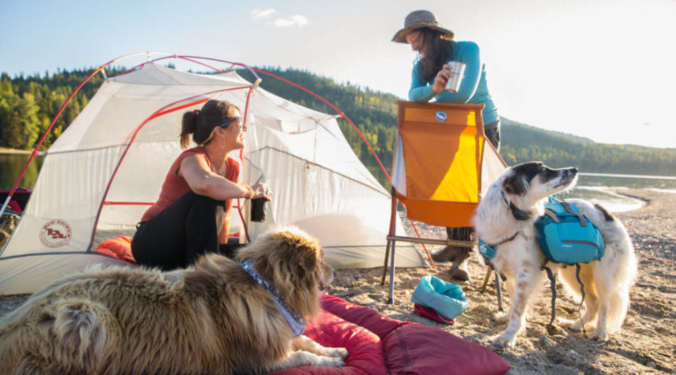 All the Gear You Need for Your Dog's Best Camping Trip Ever
