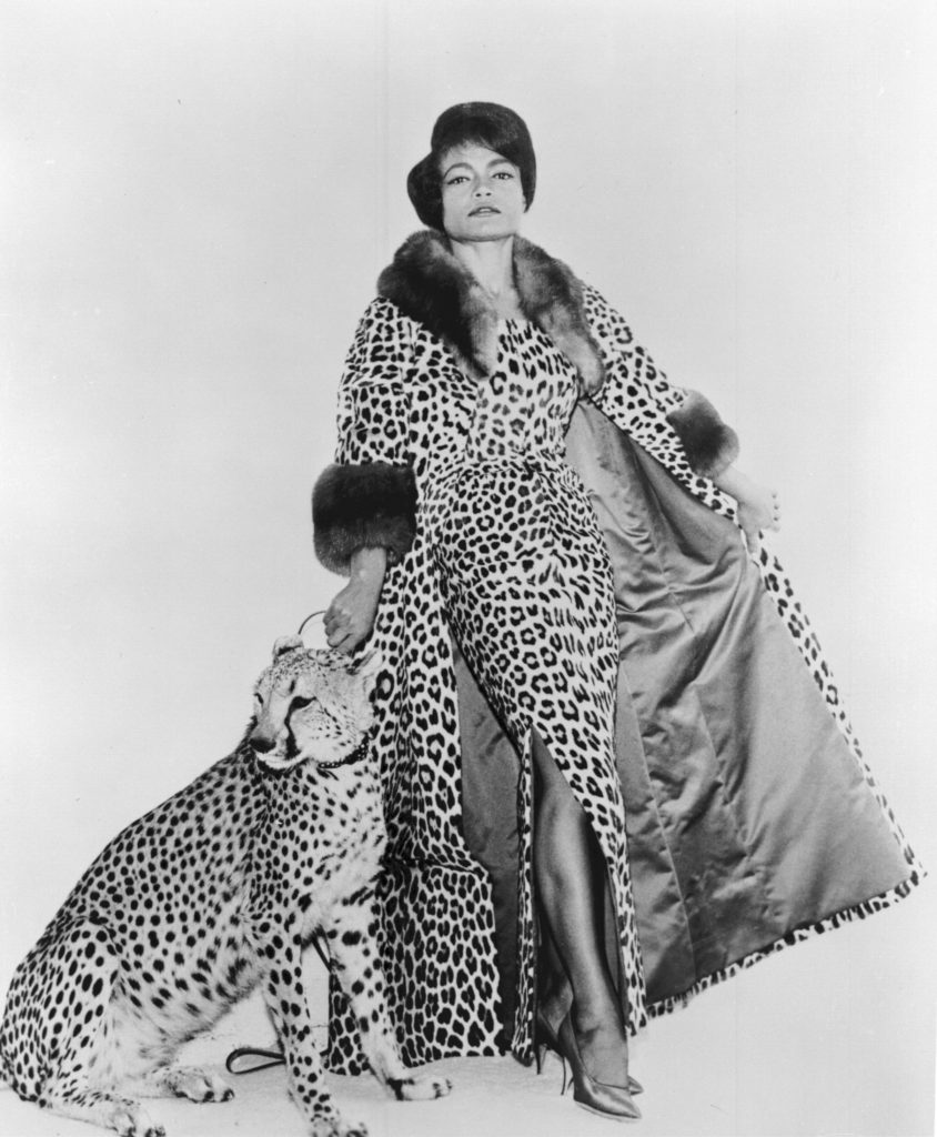 Eartha Kitt wearing cheetah print dress and coat next to live cheetah