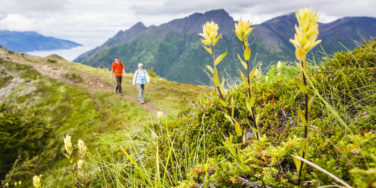 Anchorage is the Easiest Way to Do Alaska—Here's the Perfect Itinerary