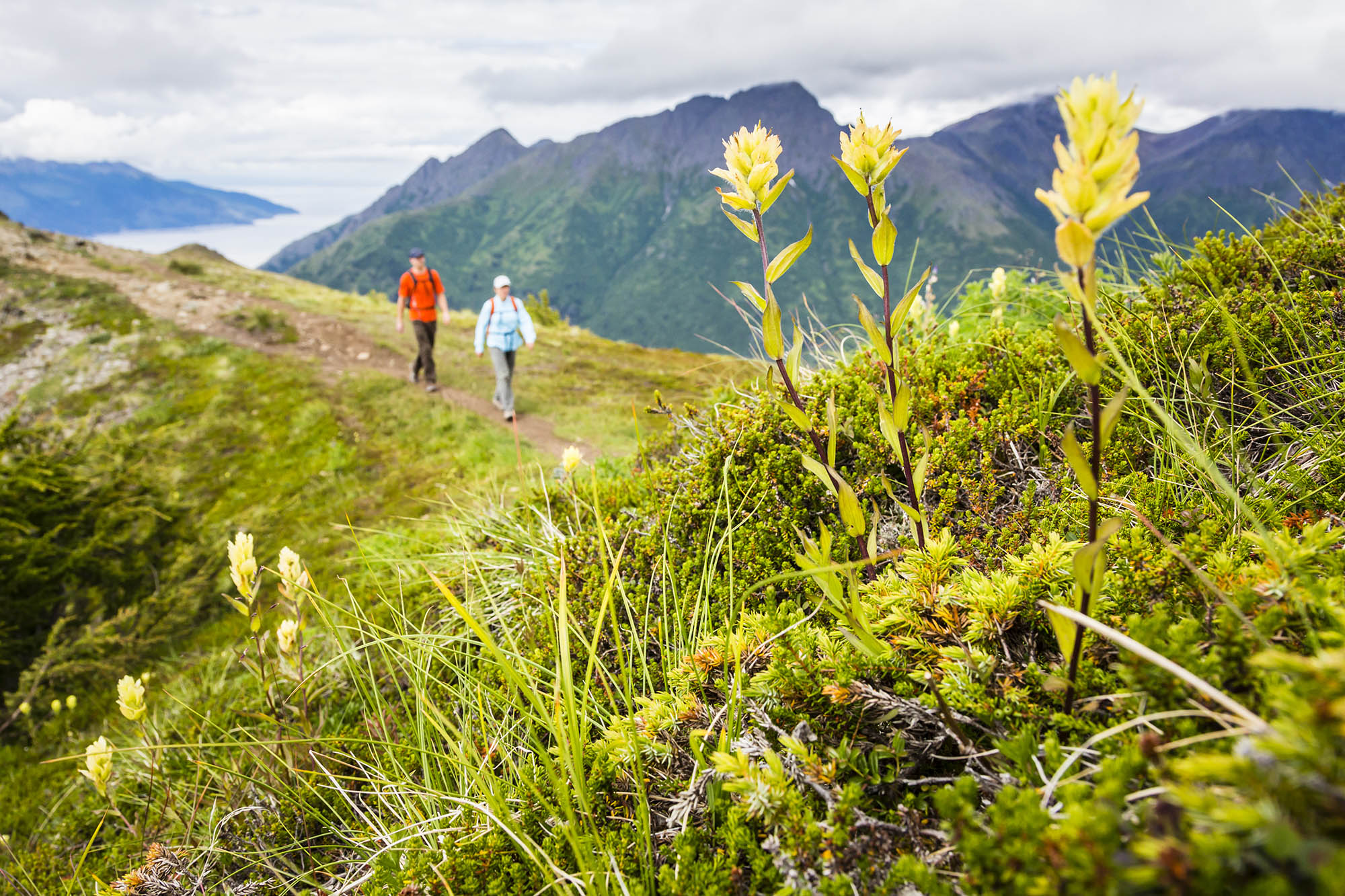 Anchorage is the Easiest Way to Do Alaska—Here's the Perfect Itinerary - Vimarsana News