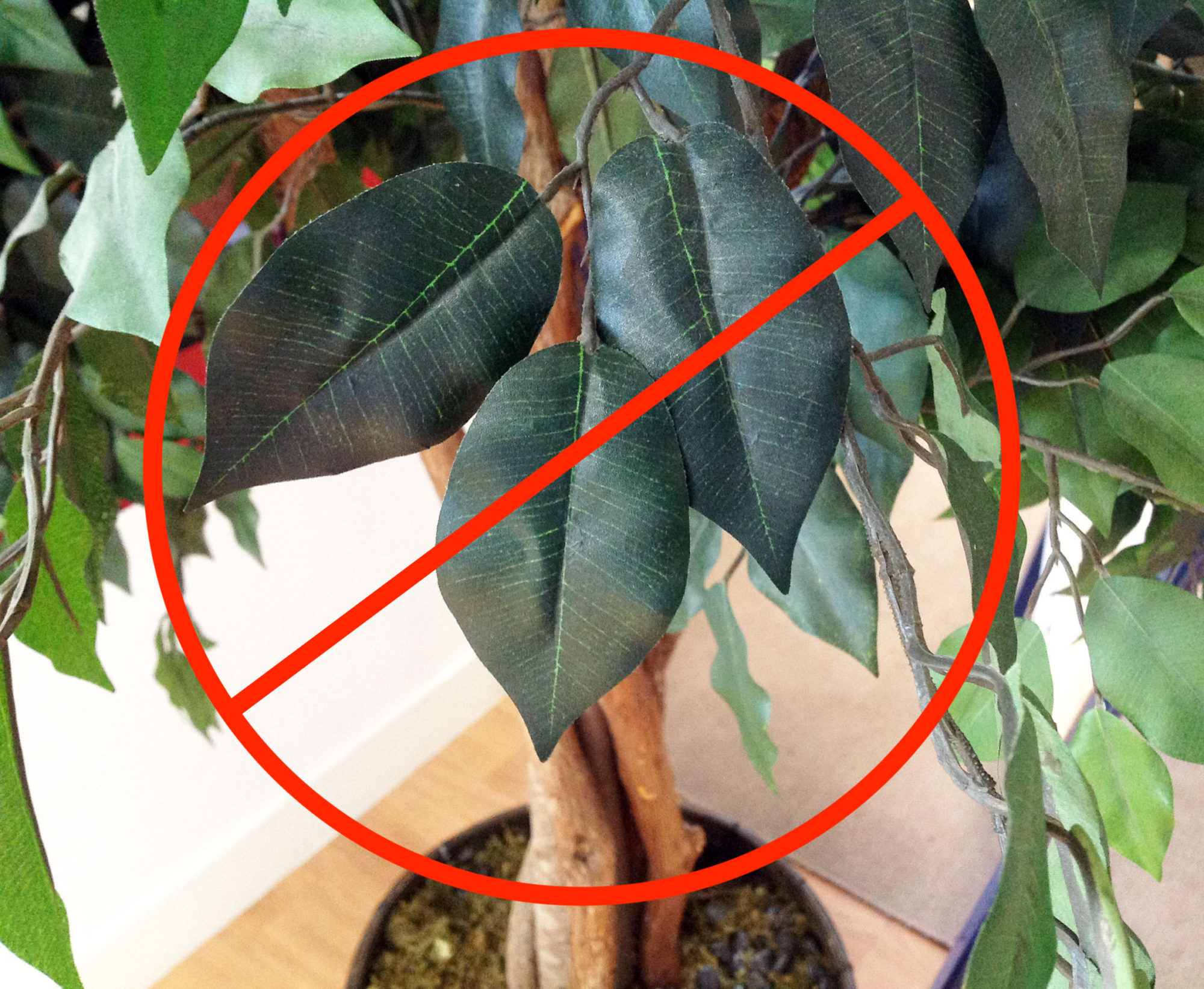 The Drawbacks Of Fake Plants And Why To Grow Real Houseplants - Is It Bad To Have Fake Plants In Your House