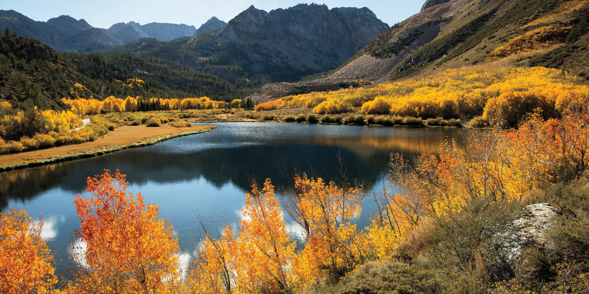 Fall foliage over water
