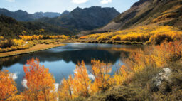 Fall foliage over water